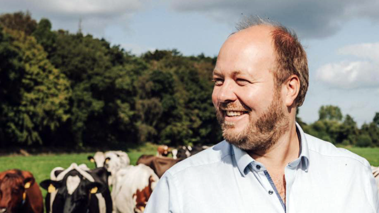 backensholz