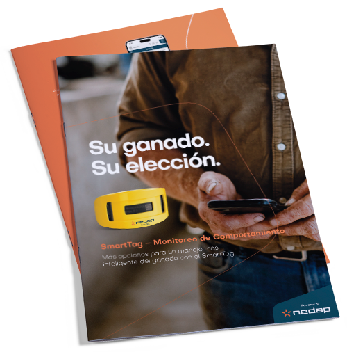 brochure-mx