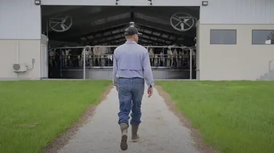 milking-r-dairy_535x300