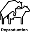 reproduction-icon