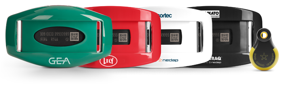 tags line up cycling rate